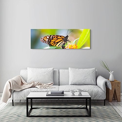 Schmetterling auf einer Blüte - Frühling - Panoramabild auf Leinwand in 150x50cm