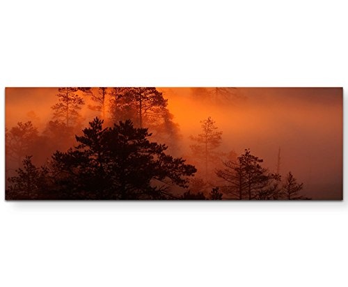Sonnenaufgang über dem Wald - warme Farben - Panoramabild auf Leinwand in 120x40cm
