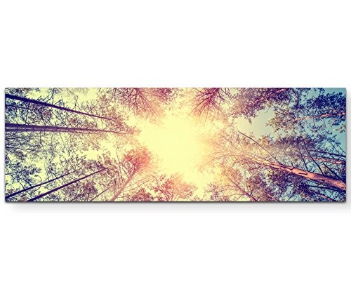 Vintage - Wald, Baumwipfel - Panoramabild auf Leinwand in 120x40cm