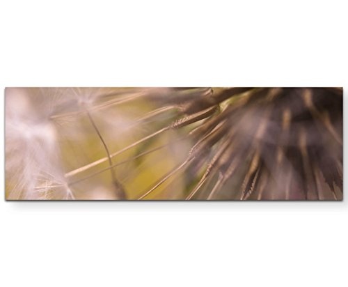 Pusteblume - Fotografie - Panoramabild auf Leinwand in 120x40cm