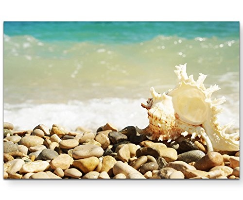 Steine am Meer - Muschel - Leinwandbild 120x80cm