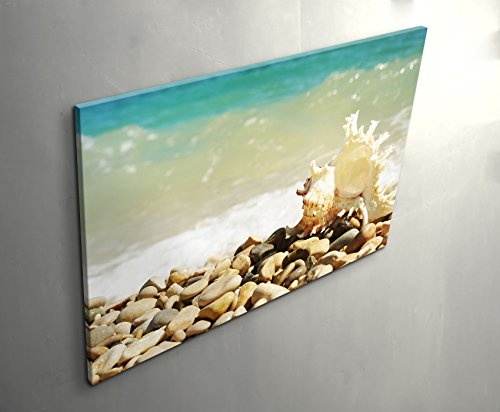 Steine am Meer - Muschel - Leinwandbild 120x80cm