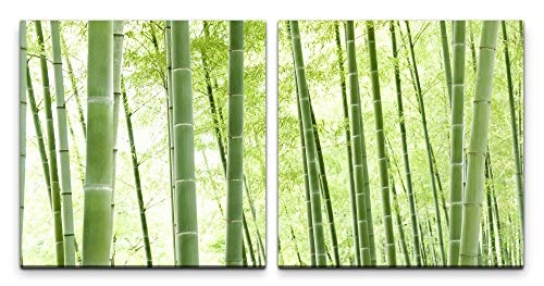 Paul Sinus Art GmbH Bambus Wald 120x60cm - 2 Wandbilder...