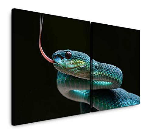 Paul Sinus Art GmbH Schlange 120x60cm - 2 Wandbilder je 60x60cm Kunstdruck modern Wandbilder XXL Wanddekoration Design Wand Bild