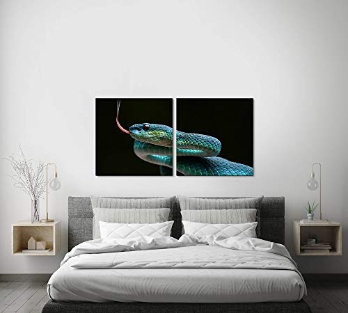 Paul Sinus Art GmbH Schlange 120x60cm - 2 Wandbilder je 60x60cm Kunstdruck modern Wandbilder XXL Wanddekoration Design Wand Bild