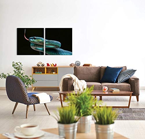 Paul Sinus Art GmbH Schlange 120x60cm - 2 Wandbilder je 60x60cm Kunstdruck modern Wandbilder XXL Wanddekoration Design Wand Bild