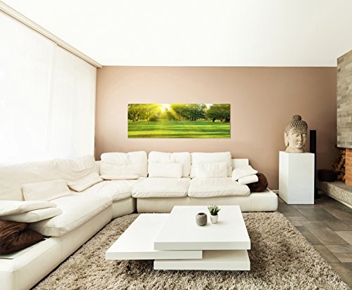 Paul Sinus Art Panoramabild auf Leinwand und Keilrahmen 150x50cm Wiese Bäume Wald Sonnenstrahlen Frühling