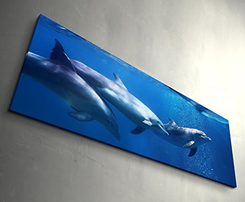 Paul Sinus Art Leinwandbilder | Bilder Leinwand 120x40cm Delphine Unter Einer brechenden Welle