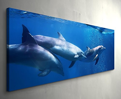 Paul Sinus Art Leinwandbilder | Bilder Leinwand 120x40cm Delphine Unter Einer brechenden Welle
