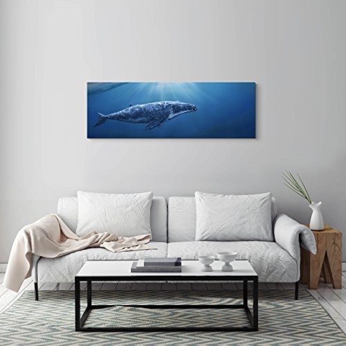Paul Sinus Art Leinwandbilder | Bilder Leinwand 120x40cm Wal Zwischen Himmel und Meer