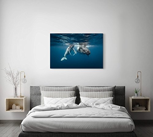 Paul Sinus Art Leinwandbilder | Bilder Leinwand 120x80cm Buckelwale im kristallklarem Wasser