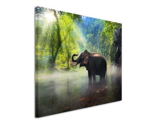 Fotoleinwand 90x60cm Tierfotografie - Elefant,...