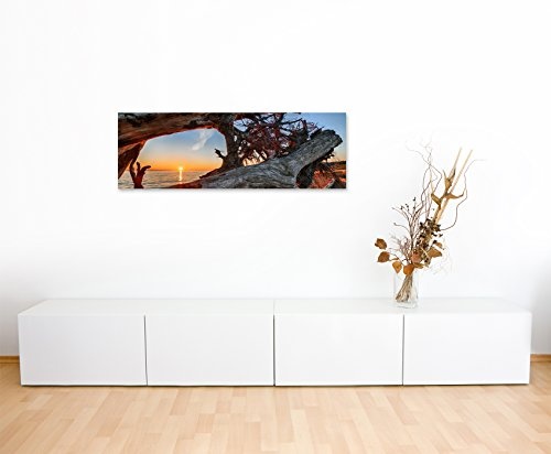 Panoramabild 150x50cm Naturfotografie - Treibholz am Strand bei Sonnenaufgang auf Leinwand exklusives Wandbild moderne Fotografie für ihre Wand in vielen Größen