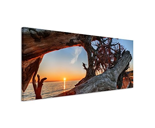 Panoramabild 150x50cm Naturfotografie - Treibholz am Strand bei Sonnenaufgang auf Leinwand exklusives Wandbild moderne Fotografie für ihre Wand in vielen Größen