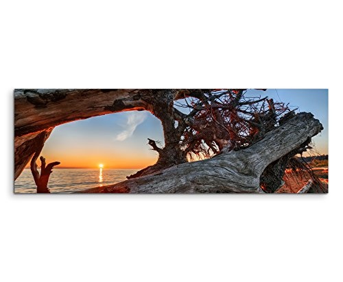 Panoramabild 150x50cm Naturfotografie - Treibholz am Strand bei Sonnenaufgang auf Leinwand exklusives Wandbild moderne Fotografie für ihre Wand in vielen Größen