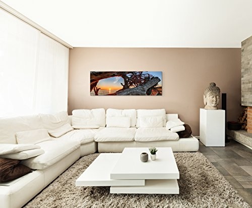 Panoramabild 150x50cm Naturfotografie - Treibholz am Strand bei Sonnenaufgang auf Leinwand exklusives Wandbild moderne Fotografie für ihre Wand in vielen Größen