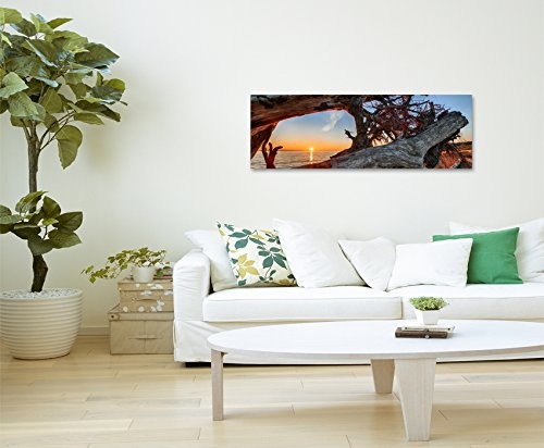 Panoramabild 150x50cm Naturfotografie - Treibholz am Strand bei Sonnenaufgang auf Leinwand exklusives Wandbild moderne Fotografie für ihre Wand in vielen Größen