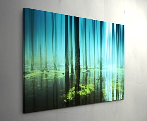 Paul Sinus Art Leinwandbilder | Bilder Leinwand 120x80cm Wald Unter Wasser