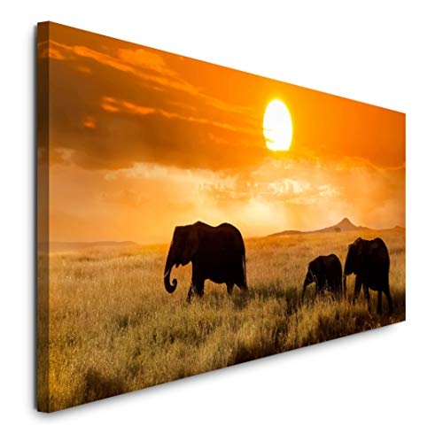 Paul Sinus Art GmbH Familie von Elefanten 120x 50cm...