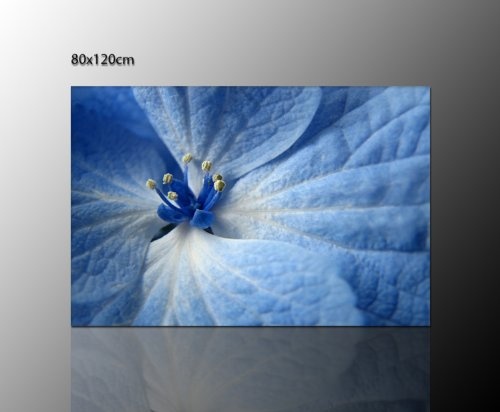 Blumen Wandbild modern auf ECHTER Leinwand gerahmt (blue flower 2 120x80 cm) Bild Blumen - Blumen Fotos - zeitlos und ideal zum Verschenken - Bilder fertig gerahmt mit Keilrahmen riesig. Ausführung Kunstdruck auf Leinwand. Günstig inkl Rahmen