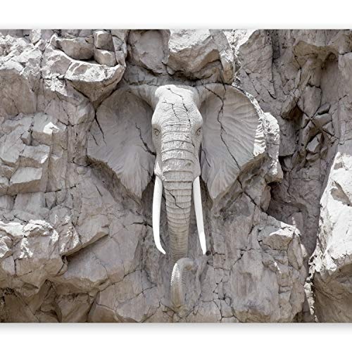 murando - Fototapete 300x210 cm - Vlies Tapete - Moderne Wanddeko - Design Tapete - Wandtapete - Wand Dekoration - Tiere Elefant Steine Stein Afrika Reise Textur g-B-0007-a-d