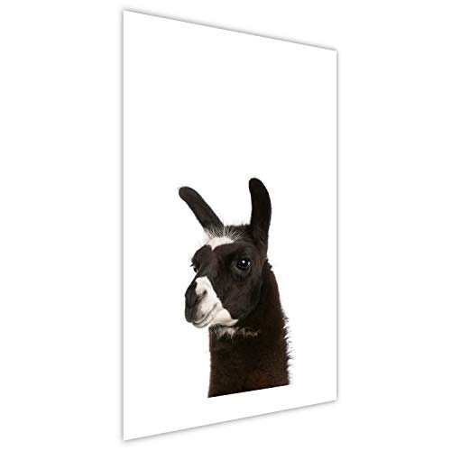 murando - Poster Lama - 30x45 cm - Kunstdruck - Wandbild - Print - Bilder - Tier g-B-0091-ao-a