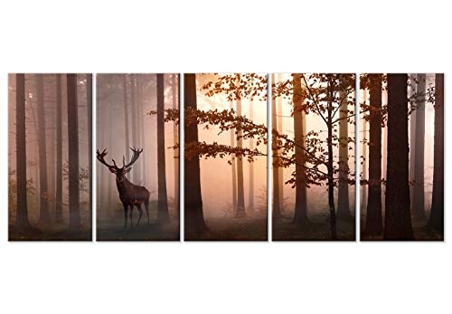 murando - Bilder Wald 200x80 cm Vlies Leinwandbild 5 TLG Kunstdruck modern Wandbilder XXL Wanddekoration Design Wand Bild - Hirsch Natur c-C-0235-b-n