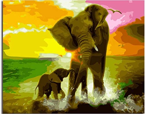 liyanwutm Painting by Numbers  Elephant Framed of Animal DIY Oil Painting On Canvas Home Decor for Living Room G 40 * 50M