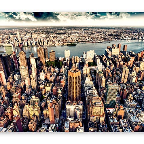 murando - Fototapete New York 350x256 cm - Vlies Tapete - Moderne Wanddeko - Design Tapete - Wandtapete - Wand Dekoration - City Stadt d-B-0186-a-a