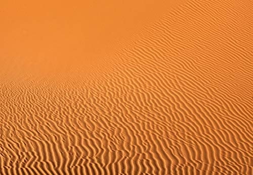 murando - Bilder Wüste Sand 80x60 cm Vlies Leinwandbild 2 TLG Kunstdruck modern Wandbilder XXL Wanddekoration Design Wand Bild - Landschaft orange c-B-0438-b-z