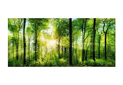 murando - Eckfototapete selbstklebend Wald 539x250 cm decor Tapeten Wandtapete klebend Klebefolie Dekofolie Tapetenfolie - Landschaft Natur grün Baum c-A-0058-a-b