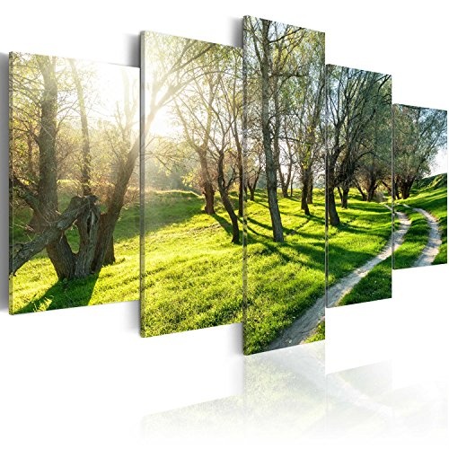 murando Akustikbild Bäume Weg 225x112 cm Bilder Hochleistungsschallabsorber Schallschutz Leinwand Akustikdämmung 5 TLG Wandbild Raumakustik Schalldämmung c-B-0029-b-n