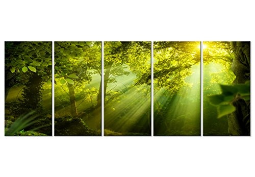 murando - Bilder Wald 225x90 cm Vlies Leinwandbild 5 TLG Kunstdruck modern Wandbilder XXL Wanddekoration Design Wand Bild - Waldlandschaft grün Baum c-B-0361-b-m