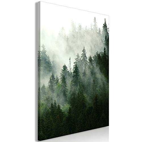 murando - Bilder Wald Nebel 40x60 cm Vlies Leinwandbild 1 TLG Kunstdruck modern Wandbilder Wanddekoration Design Wand Bild - Bäume grün c-B-0394-b-a