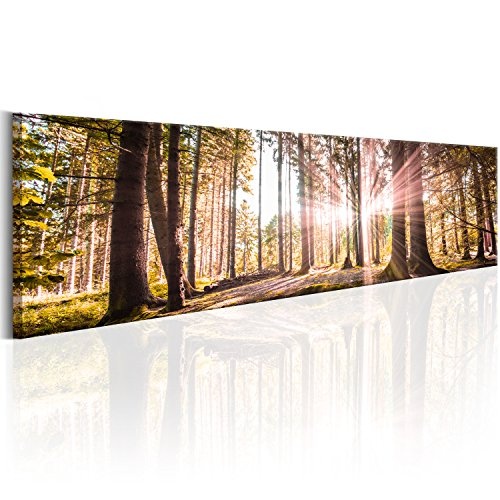 murando - Bilder Wald 172x45 cm Vlies Leinwandbild 1 TLG...