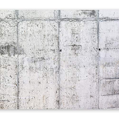 murando - Fototapete Beton 350x256 cm - Vlies Tapete - Moderne Wanddeko - Design Tapete - Wandtapete - Wand Dekoration - grau f-A-0332-a-a