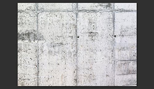 murando - Fototapete Beton 350x256 cm - Vlies Tapete - Moderne Wanddeko - Design Tapete - Wandtapete - Wand Dekoration - grau f-A-0332-a-a