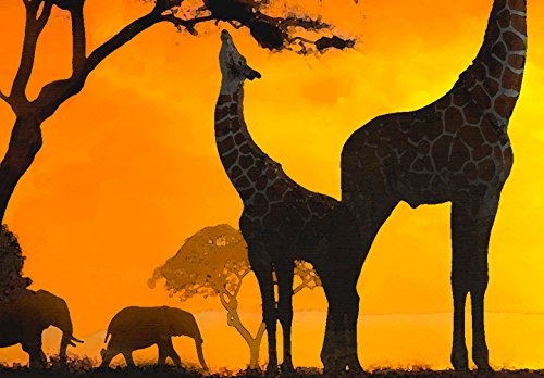 murando - Bilder Afrika 60x60 cm - Vlies Leinwandbild - 4 TLG - Kunstdruck - modern - Wandbilder XXL - Wanddekoration - Design - Wand Bild - Natur Landschaft Tiere orange rot g-A-0138-b-i