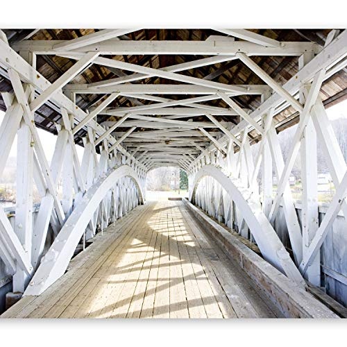 murando - Fototapete 350x256 cm - Vlies Tapete - Moderne Wanddeko - Design Tapete - Wandtapete - Wand Dekoration - Brücke c-B-0071-a-a
