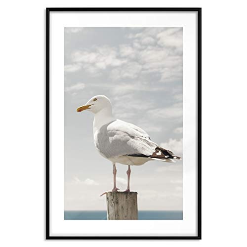 murando - Poster XXL Vogel Möwe Meer - 60x90 cm - Kunstdruck - Wandbild - Print - Bilder - Bilderrahmen g-B-0119-ao-a