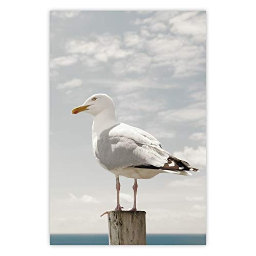 murando - Poster XXL Vogel Möwe Meer - 60x90 cm - Kunstdruck - Wandbild - Print - Bilder - Bilderrahmen g-B-0119-ao-a