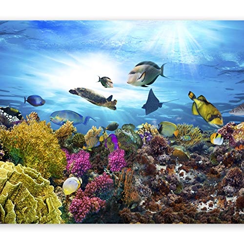 murando - Fototapete 300x210 cm - Vlies Tapete - Moderne Wanddeko - Design Tapete - Wandtapete - Wand Dekoration Ozean Fisch Meer Unterwasserwelt Korallenbank g-A-0093-a-a