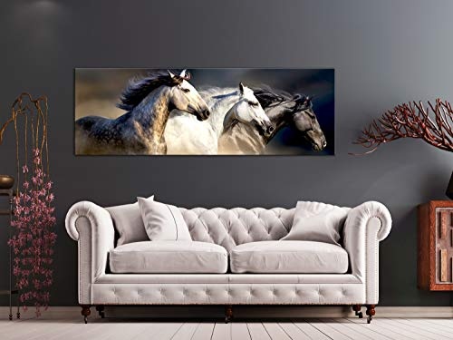 murando - Bilder Pferde 120x40 cm Vlies Leinwandbild 1...
