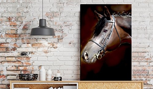 murando Bilder 80x120 cm - Leinwandbilder - Fertig Aufgespannt - 1 Teilig - Wandbilder XXL - Kunstdrucke - Wandbild - Poster Tier Pferd g-C-0022-b-b