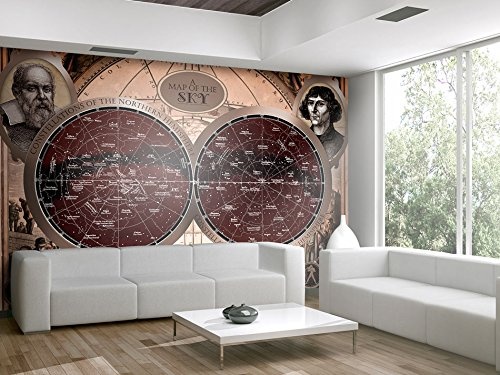 murando - Fototapete 50x35 cm - Vlies Tapete - Moderne Wanddeko - Design Tapete - Wandtapete - Wand Dekoration - Sternkarte Sternzeichen Karte Atlas Foto Vintage Antik Welt f-A-0088-a-b