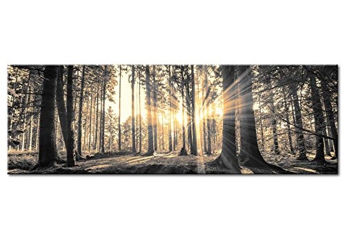 murando - Acrylglasbild Landschaft 135x45 cm - 1 Teile - Bilder Wandbild - modern - Decoration Wald Baum Natur c-B-0077-k-c