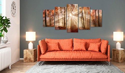 murando - Acrylglasbild Wald 200x100 cm - 5 Teilig - Bilder Wandbild - modern - Decoration - Wald Natur Baum c-B-0189-k-m