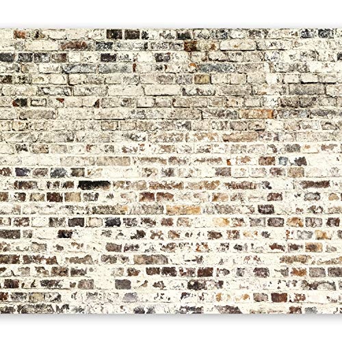 murando - Fototapete 400x280 cm - Vlies Tapete - Moderne Wanddeko - Design Tapete - Wandtapete - Wand Dekoration - Ziegel Mauer Beton Textur f-B-0019-a-a
