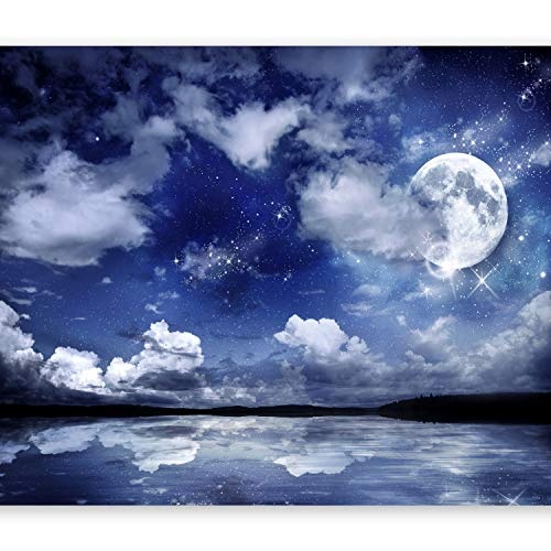murando - Fototapete Nachthimmel 350x256 cm - Vlies Tapete - Moderne Wanddeko - Design Tapete - Wandtapete - Wand Dekoration - Landschaft Mond blau 10110903-27