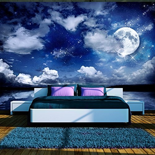 murando - Fototapete Nachthimmel 350x256 cm - Vlies Tapete - Moderne Wanddeko - Design Tapete - Wandtapete - Wand Dekoration - Landschaft Mond blau 10110903-27